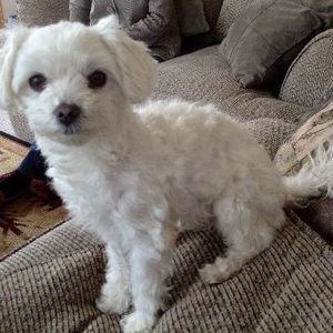 Meet your Posher, Ilene